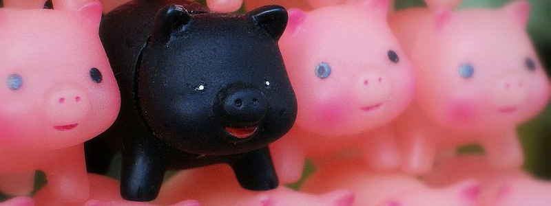 Black_toy_pig_among_pink_toy_pigs
